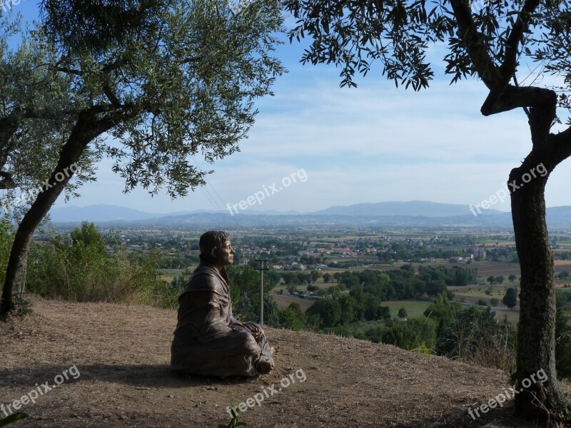 Assisi Italy Statue Olive Tree Landscape