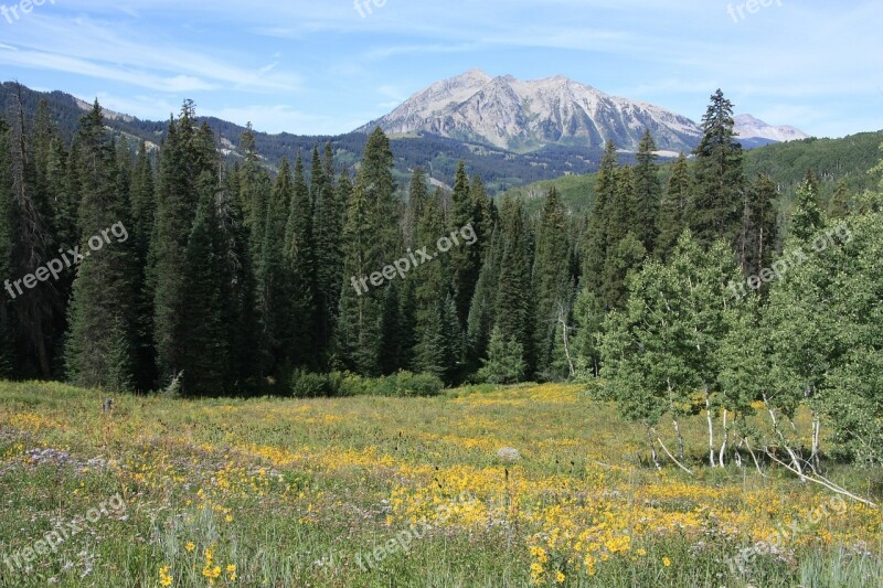 Mountains Forest Colorado Landscape Free Photos