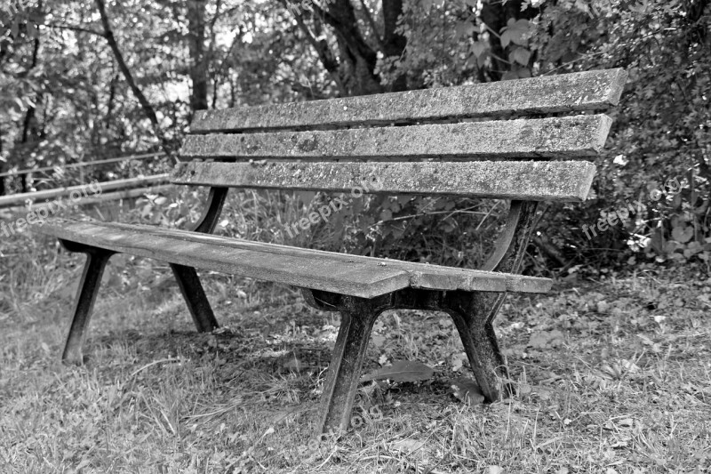 Bank Wooden Bench Bench Out Nature