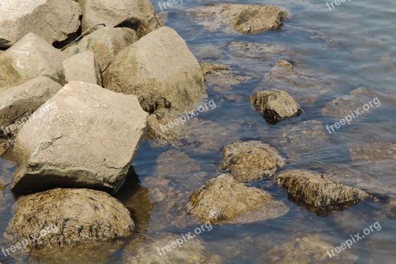 Stones Water Rhine Düsseldorf River Landscape