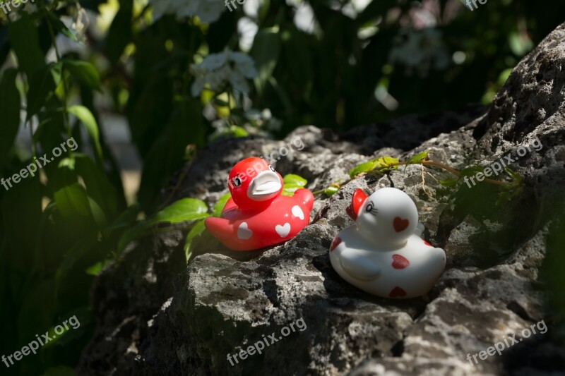 Ducks Stone Bath Duck Love Heart