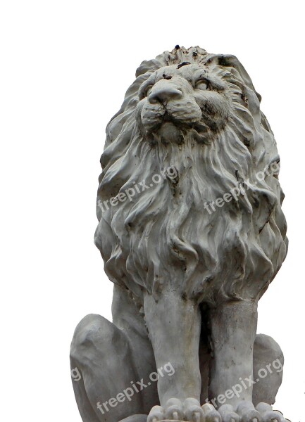 Lion Portrait Sculpture Statue Figure