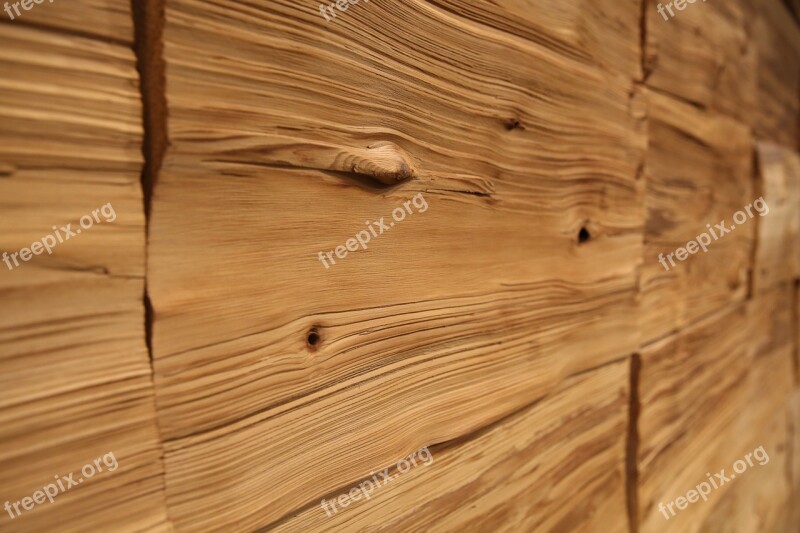 Wood Wall Annual Zone Wrinkles Free Photos