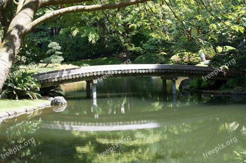 Bridge Wood Bridge Peaceful Spot Calmness Peaceful Place