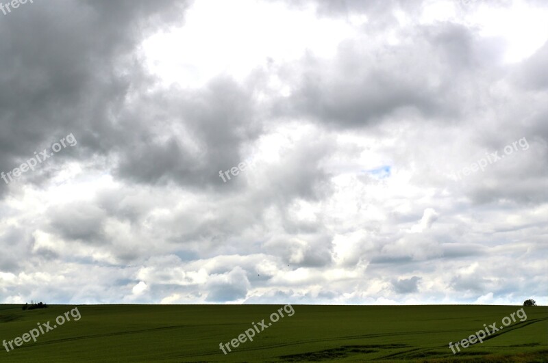 Grey Clouds Field Nature Wheat Agriculture