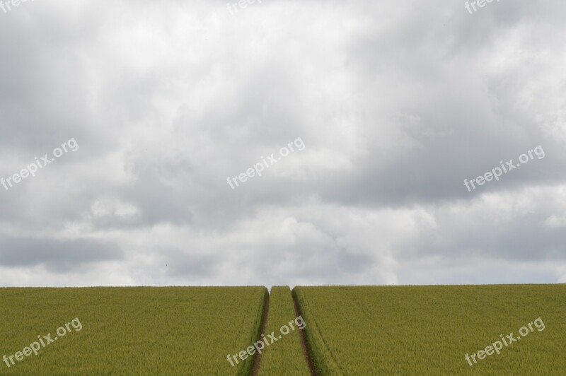 Field Wheat Grey Sky Grey Sky