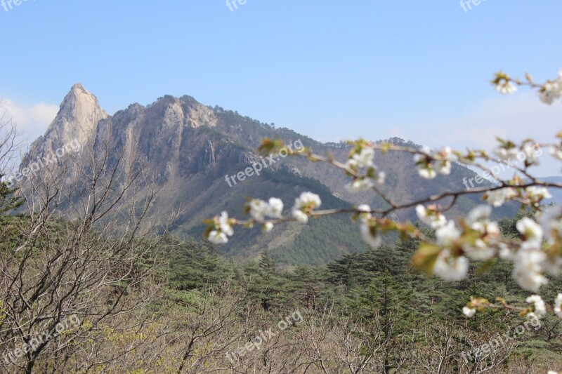 Sokcho Mt Seoraksan Peaks Free Photos