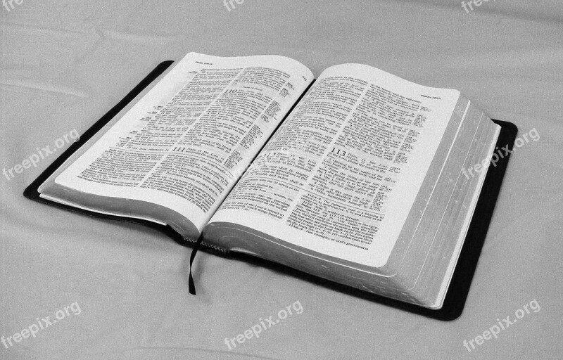 Bible Book Text Word Scripture