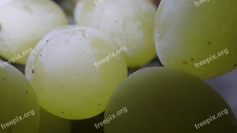 Grapes Green Fruit Free Photos