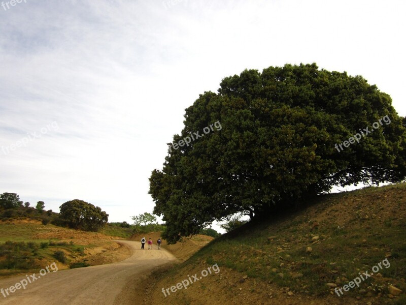 Pilgrims Path San Salvador Carbajal Free Photos