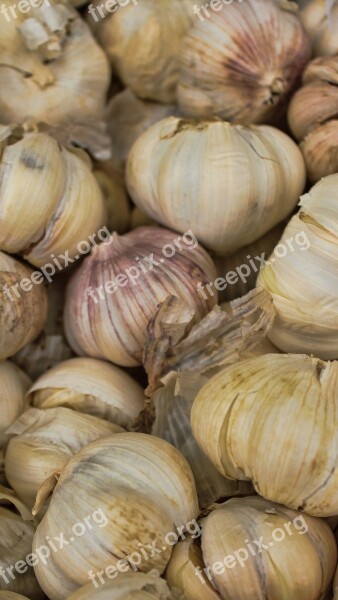 Garlic Whole Garlic Cloves Clove Of Garlic Spice