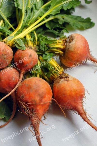 Beets Organic Farmer's Market Yellow Beets Garden