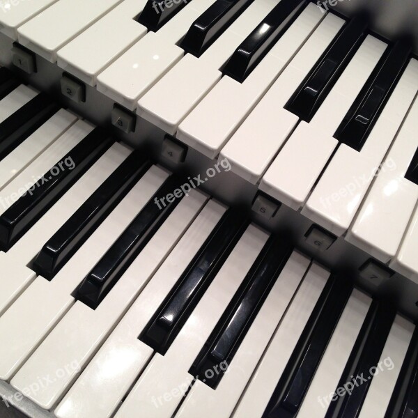 Musical Instruments Keyboard Electronic Organ Free Photos