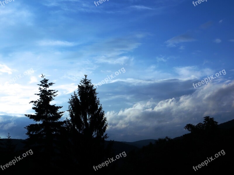 Blue Sky Backlighting Trees Clouds