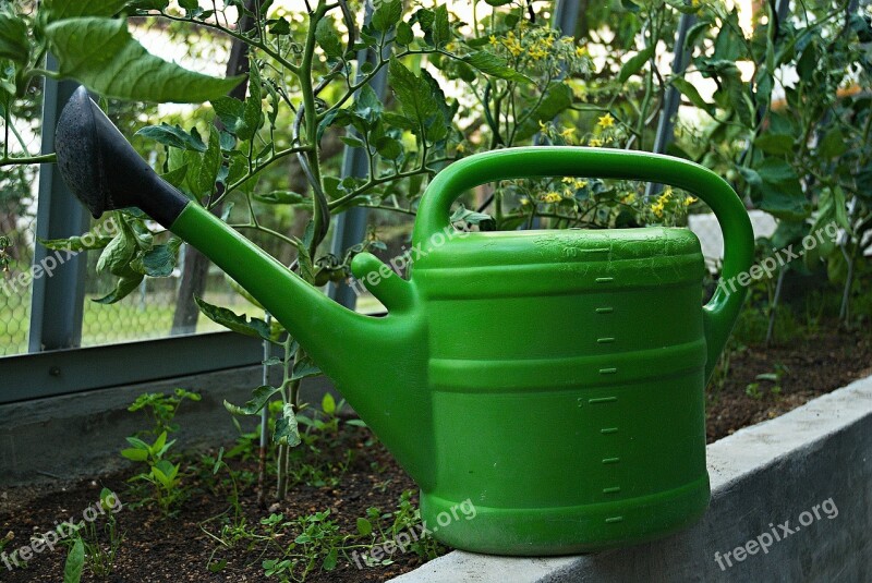 Sprinkler Ewer Greenhouse Watering Tomatoes