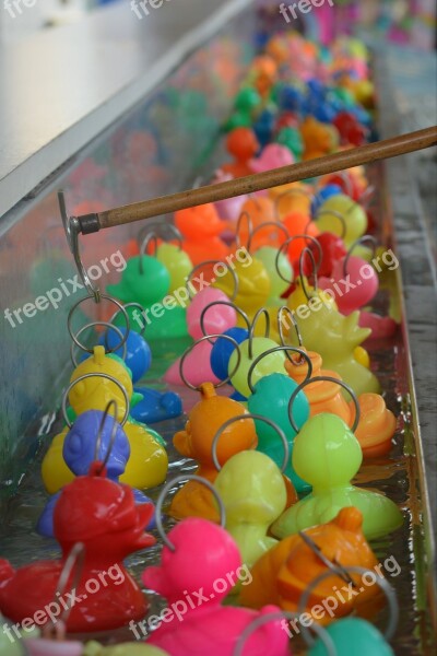 Colors Ducklings Funfair Free Photos