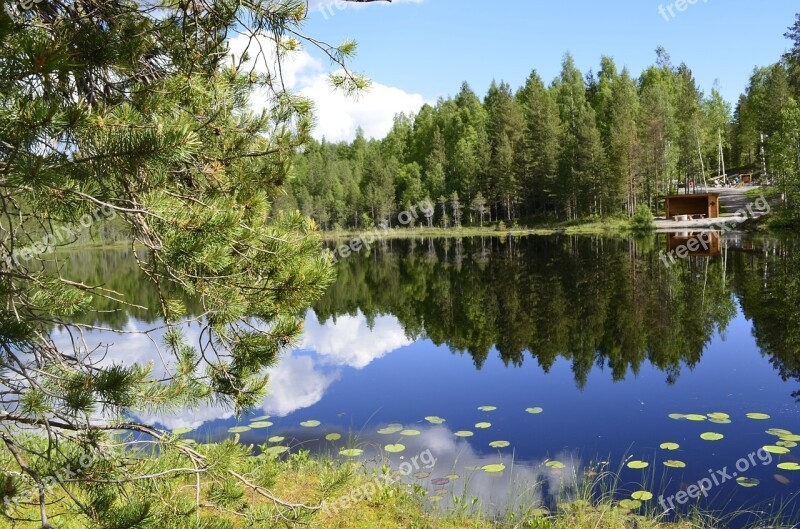 Summer Lake Blue Himmel Water