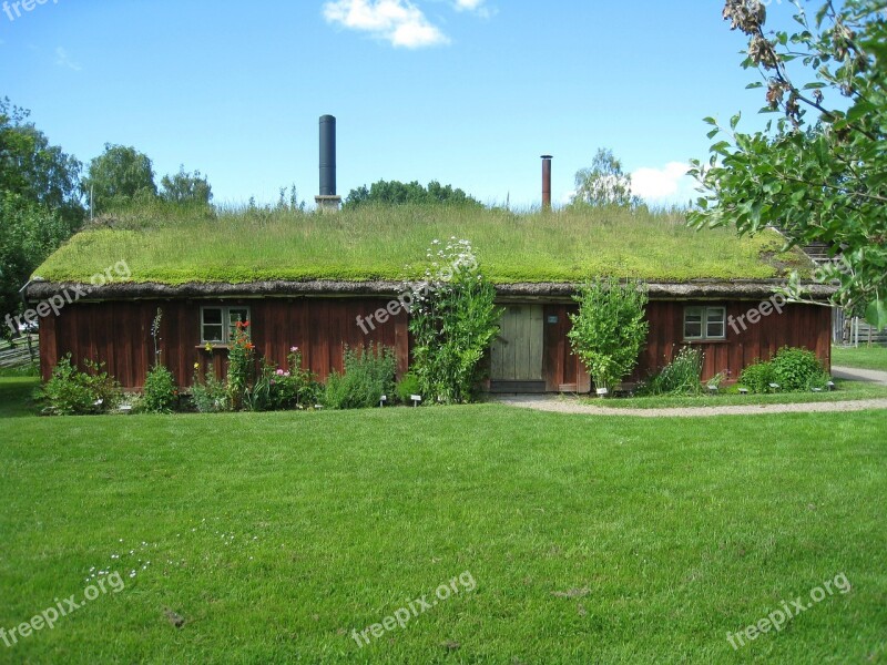 House Lawn Flowers Grass Roofs Sky