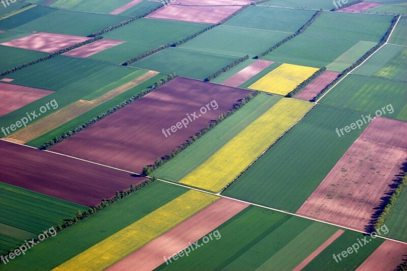 Aerial View Fields Color Summer Free Photos