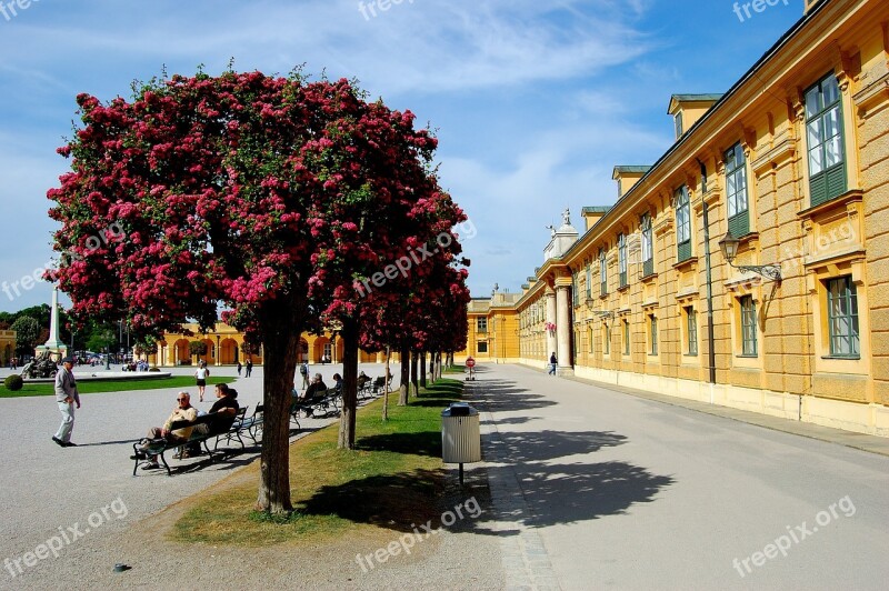 Vienna Schönbrunn Blue Sky Clouds Sky