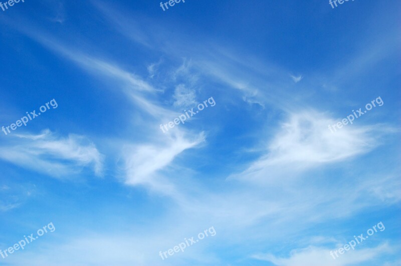 Blue Sky Clouds Sky Blue Federwolke