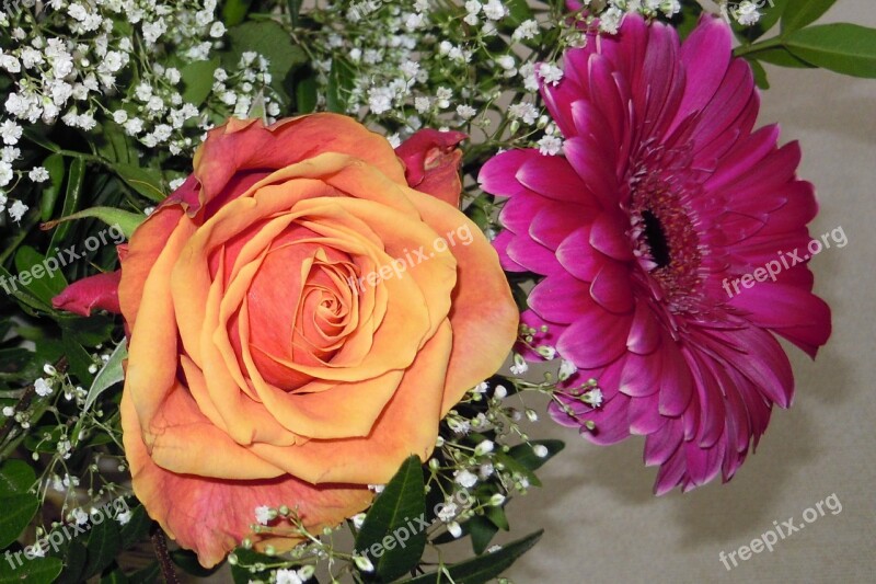 Rose Birthday Bouquet Gypsophila Gerbera Blossom