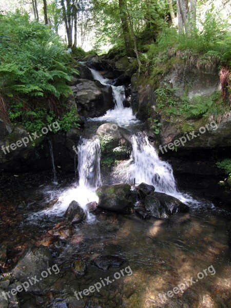 Bílá Cool Black Forest Todtnau Shady