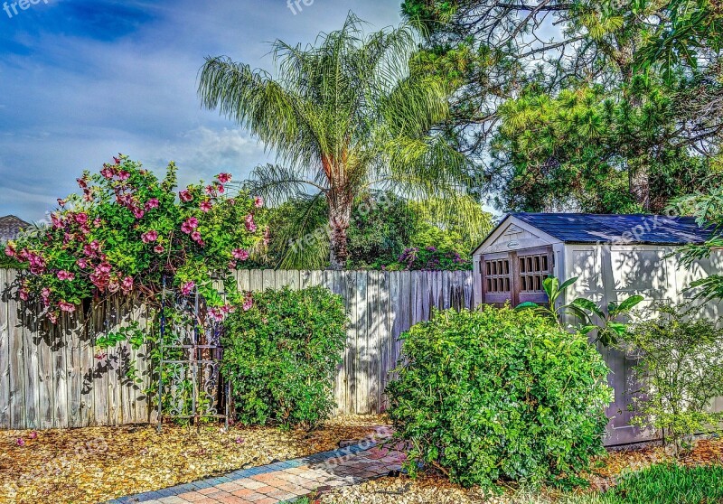 Hdr Fence Shed Flowers Landscape