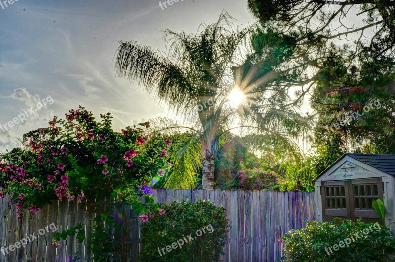 Sunset Fence Shed Flowers Landscape