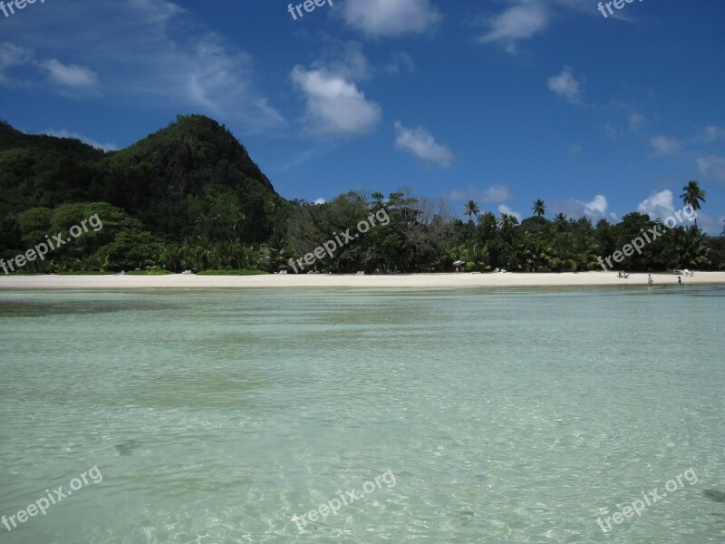 Beach Costa Seychelles Palms Paradise