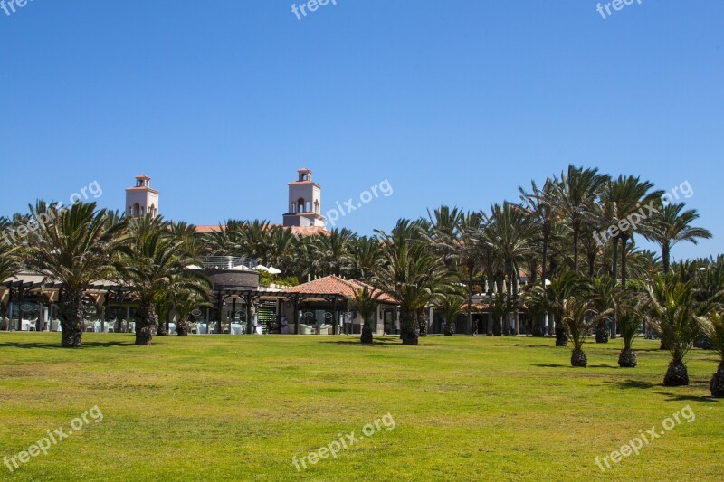 Palm Trees Park Tropical Spain Free Photos