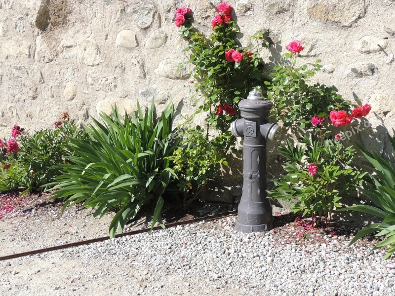 Hydrant Flowers Wall Fire Free Photos