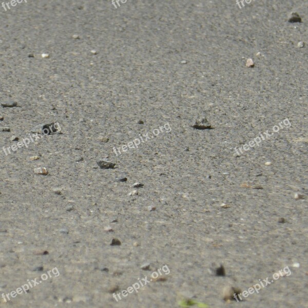 Asphalt Gravel Stones Grey Free Photos