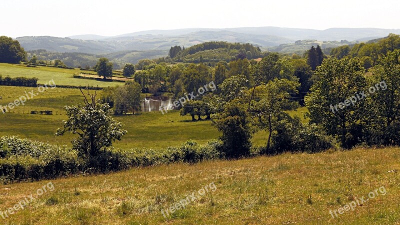 Landscape Trees Field Nature Green