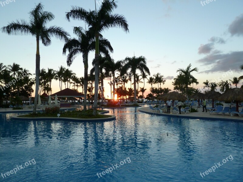 Sunset Swimming Pool Palm Trees Holiday Tourism