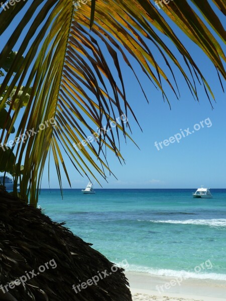 Sea Beach Sand Palm Trees Water