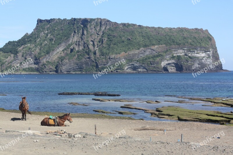 Jeju Island Landscape Sea Free Photos