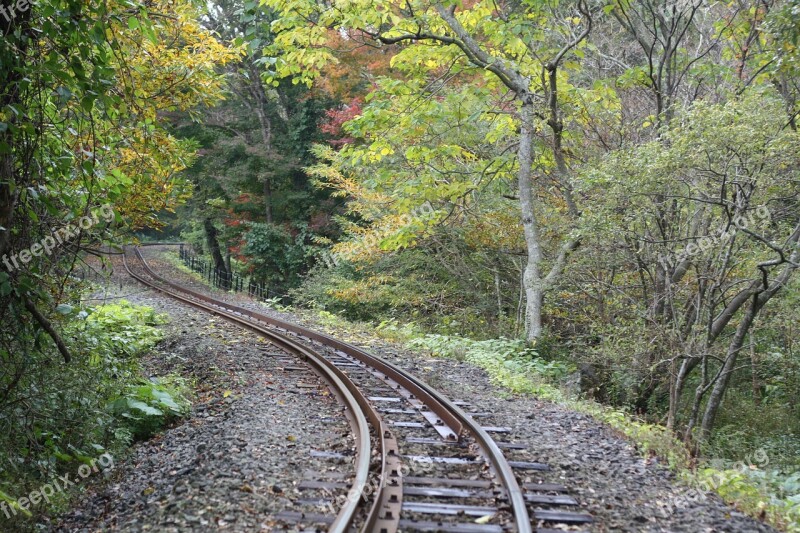 Railroad Tracks Nature Jeju Island Free Photos