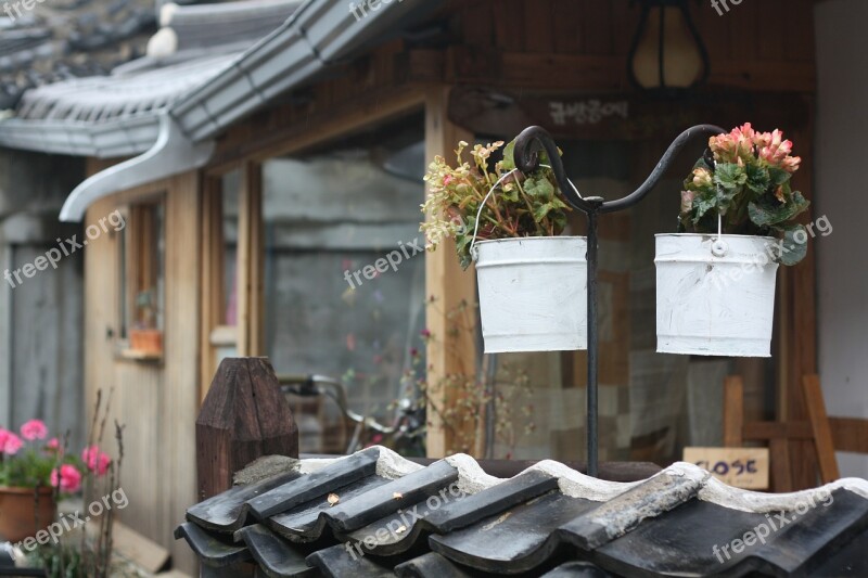 Hanok Traditional Building Houses Flowers Free Photos