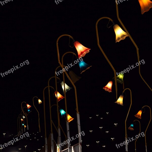 Lights Lamps Street Light Red Blue