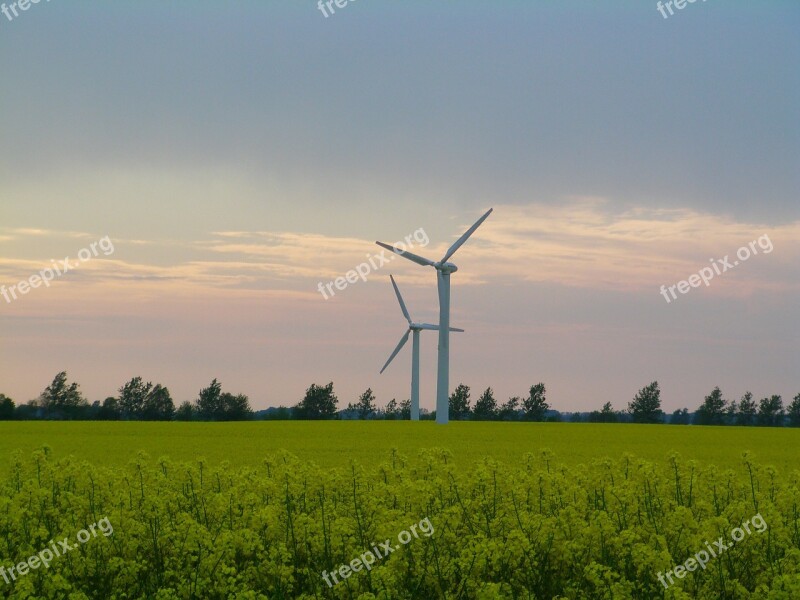 Oilseed Rape Field Of Rapeseeds Rügen Windmills Northern Germany