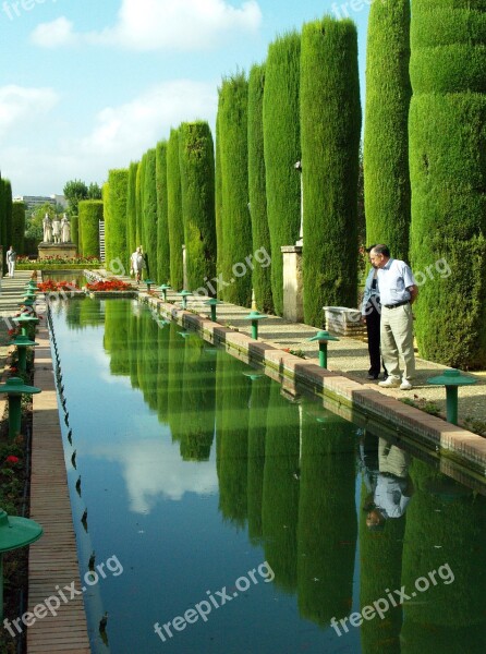 Cordoba Pond Water Vegetation Trees