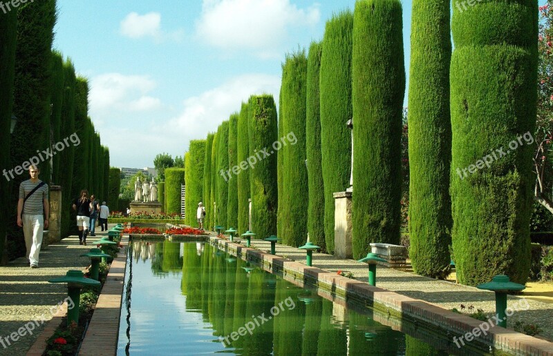 Pond Cordoba Water Vegetation Green