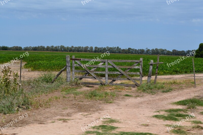 Field Earth Grass Gate Wood