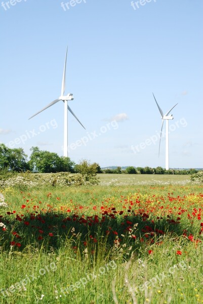 Wind Turbines Farmland Environmentally Friendly Meadow