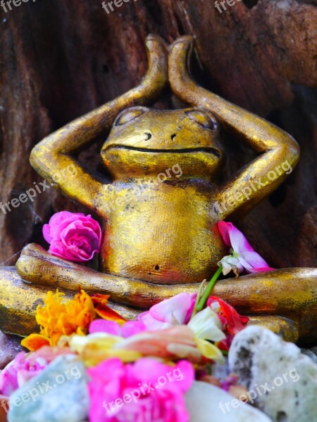 Frog Yoga Flowers Sculpture Decorative