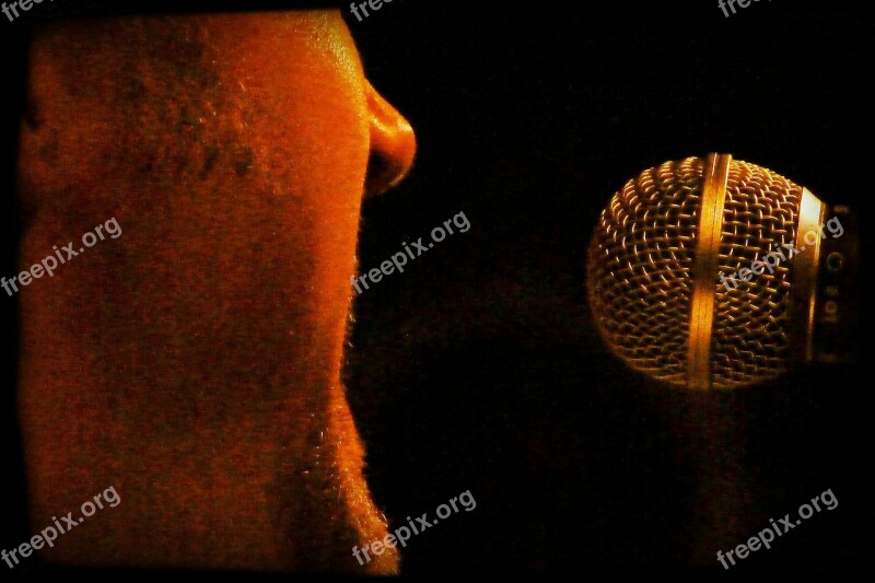 Singer Man Microphone Musician Artists