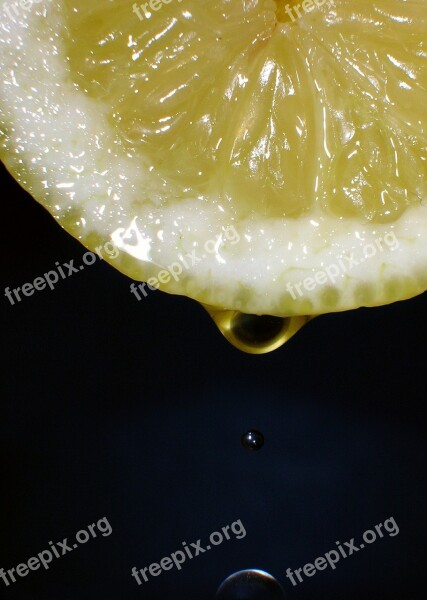 Lemon Fruit Yellow Drop Free Photos