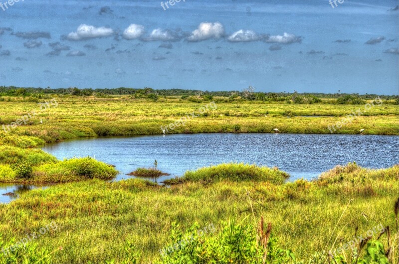 Cape Canaveral Swamp Lake Water Marshland