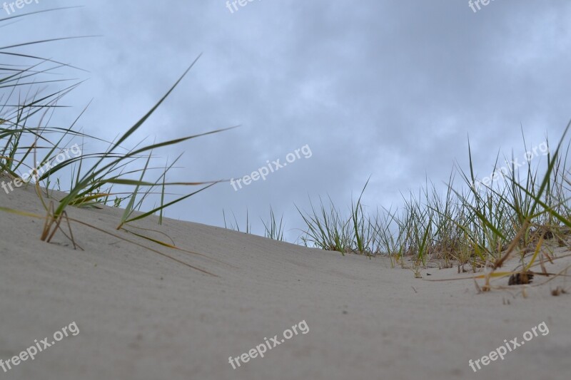 Sand Dunes Beach Sand Nature Free Photos